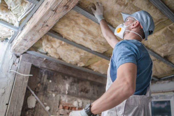 Best Geographic-Specific Insulation Services in Dorothy, NJ