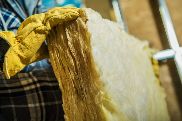 Best Insulation Maintenance and Repair in Dorothy, NJ